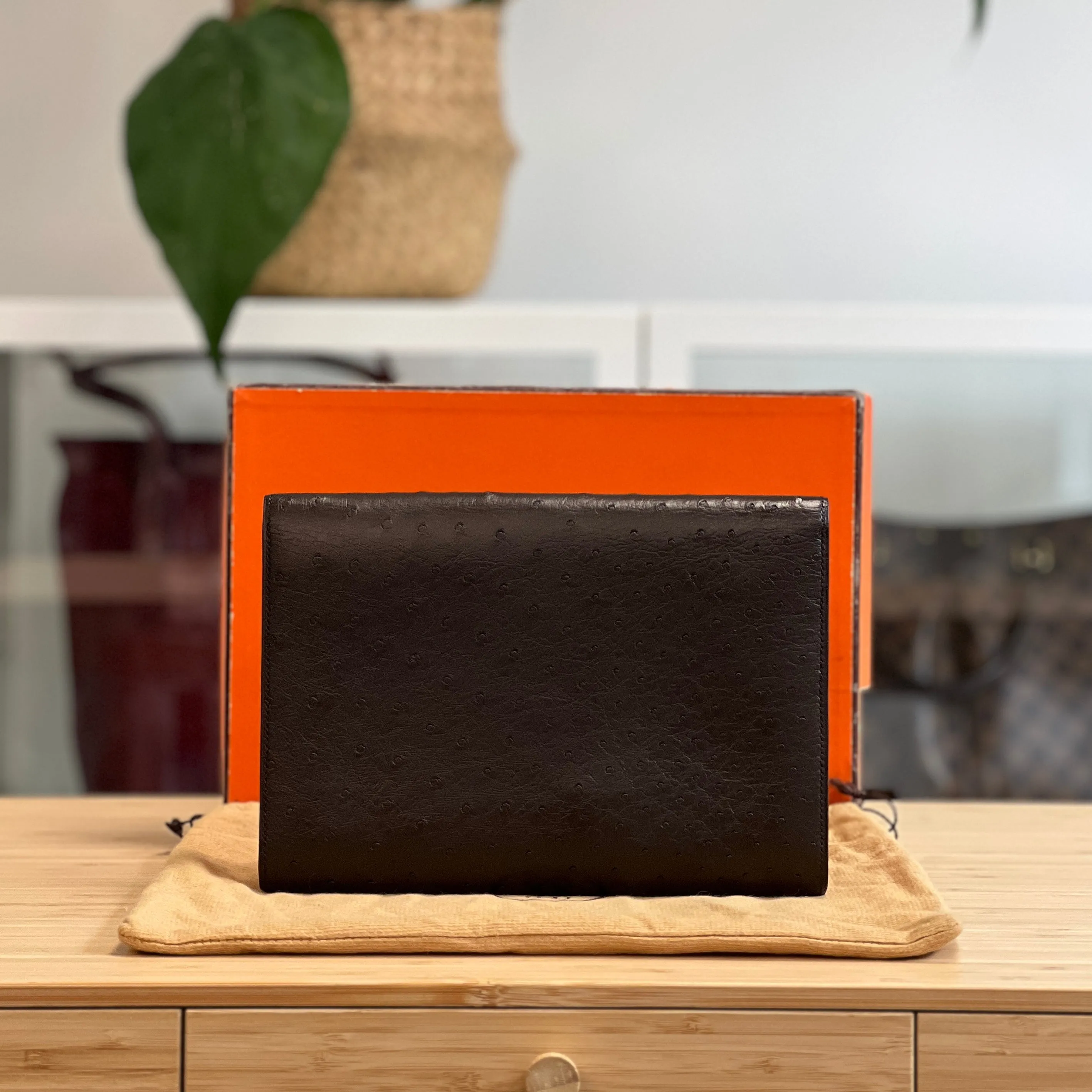 Hermès Ostrich Skin Clutch