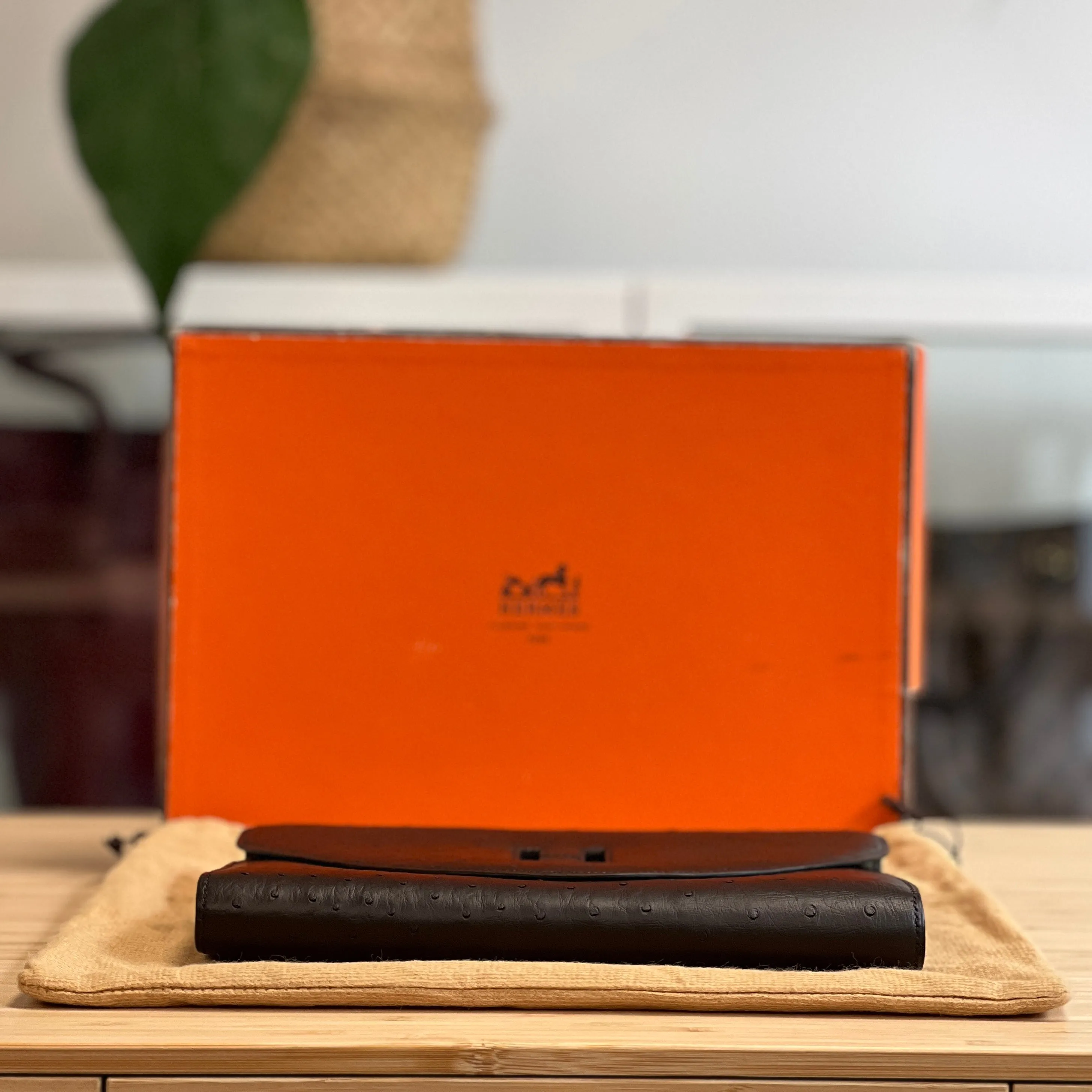 Hermès Ostrich Skin Clutch